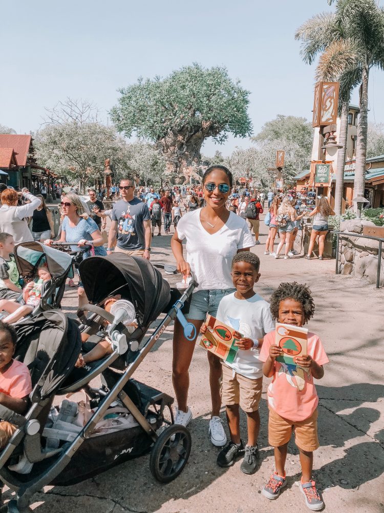 Make sure the triple stroller you bring to Disney world is approved!