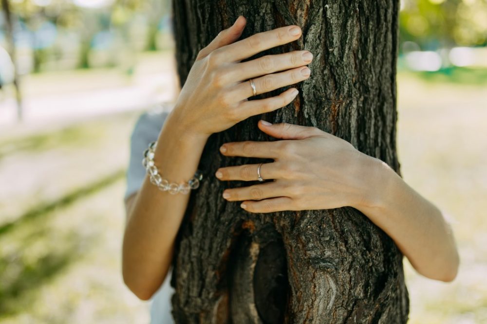 Hug a tree as self care