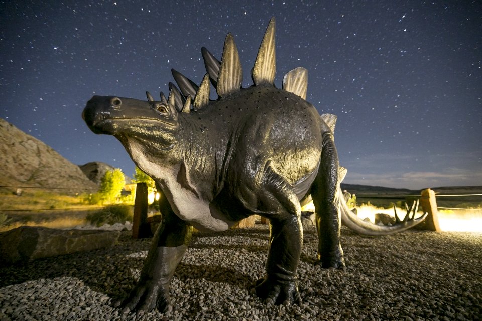 Stegosaurus statue at Dinosaur National Monument