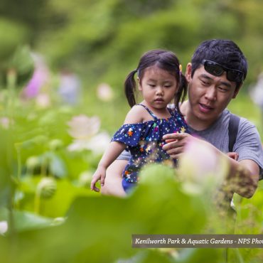 Kenilworth Park & Aquatic Gardens