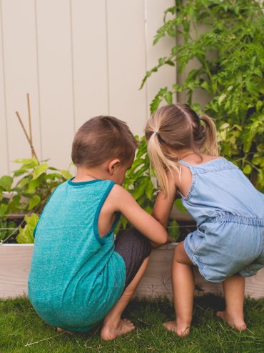 natual,play,playground,dirt,nature