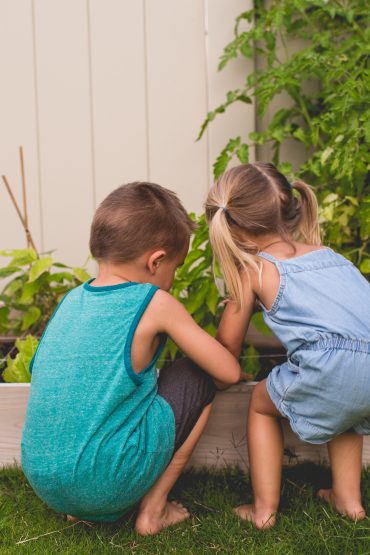 natual,play,playground,dirt,nature