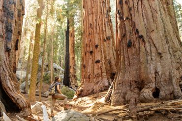 sequoianp_hiker_istock_kapulya