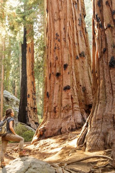 sequoianp_hiker_istock_kapulya