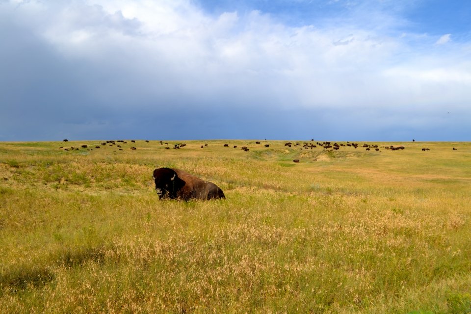 national park,parks,park,national parks,learning