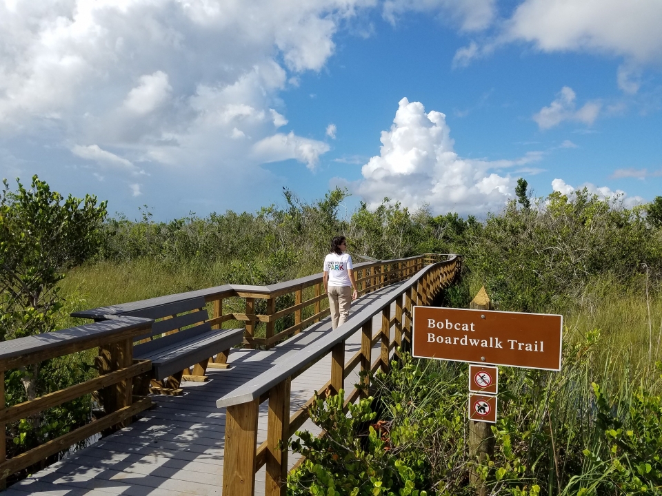 Bobcat Boardwalk Trail