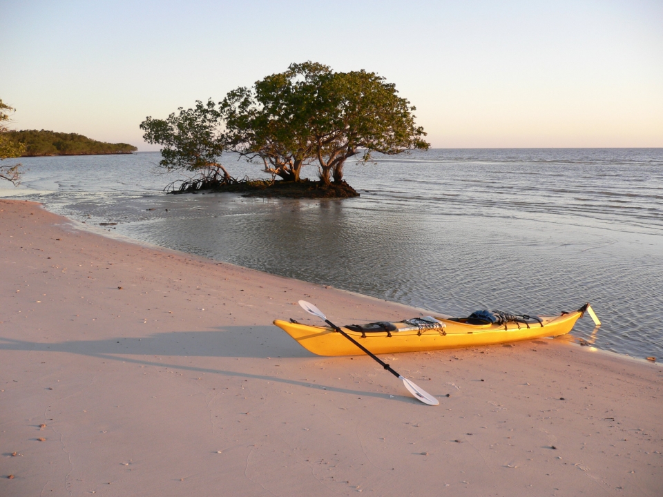 visit,day,national park,national parks