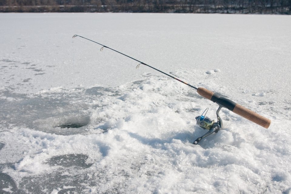 winter activities,winter,park,ice,snow