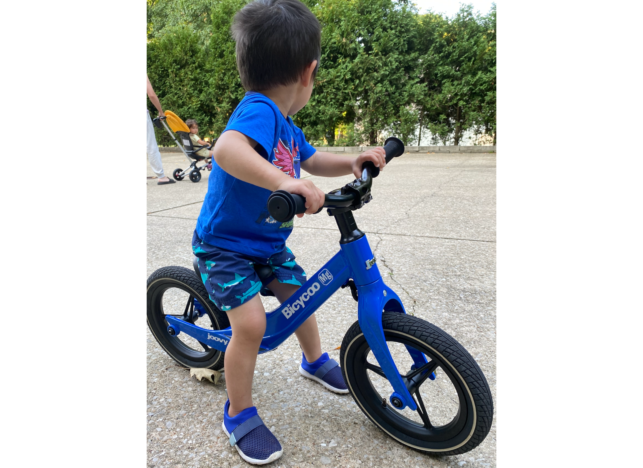 child,balance bike,riding,bikes,Training Wheels