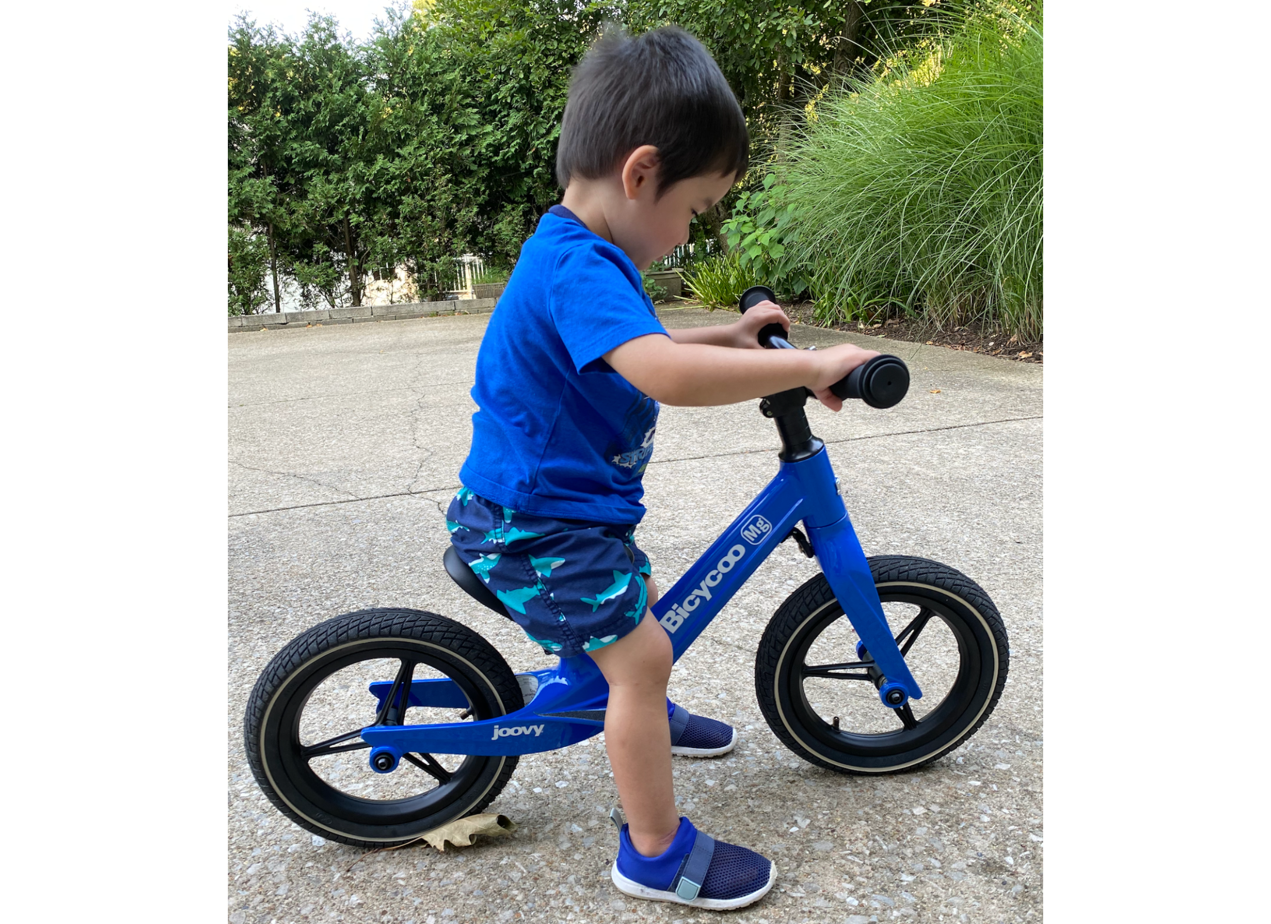 child,balance bike,riding,bikes,Training Wheels