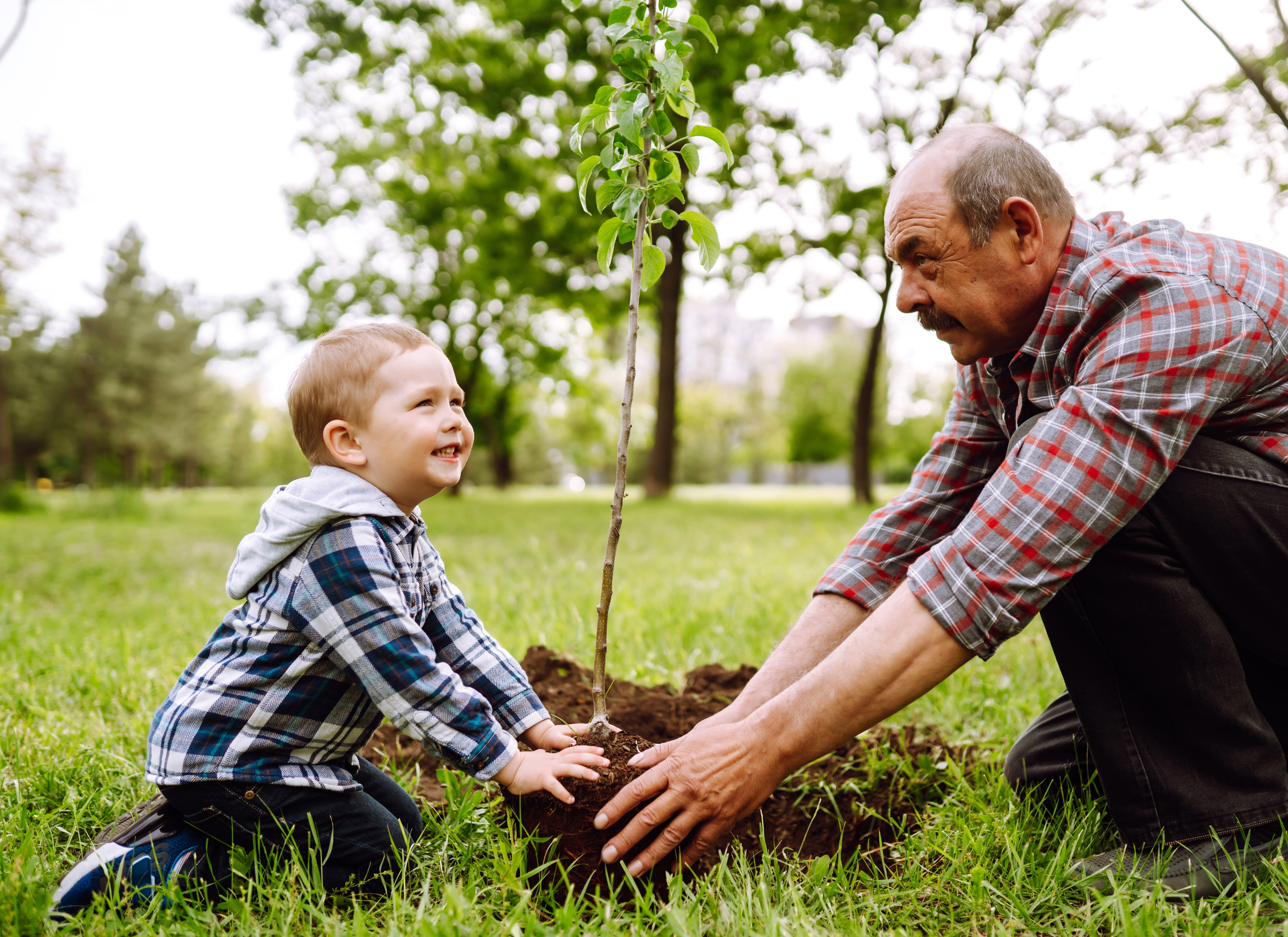 Bonds,together,Grandparents,Activities